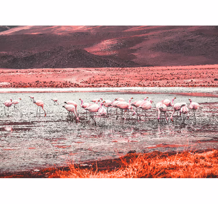 Rôzne fototapety zvieratá scéna s plameniakmi - Tenstickers