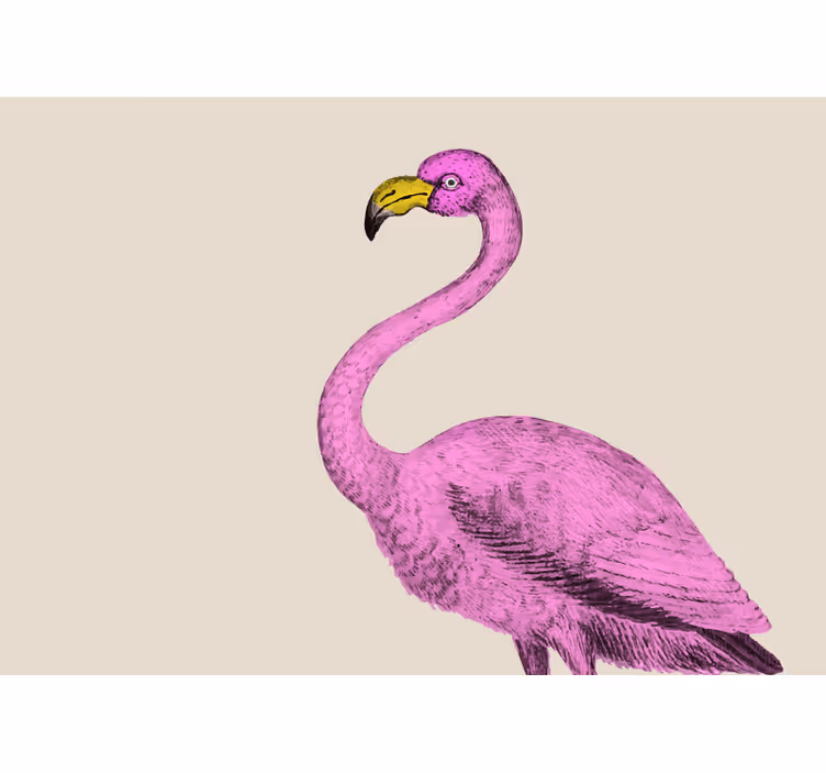 Fototapety so zvieratami elegantné ružové plameniaky - Tenstickers