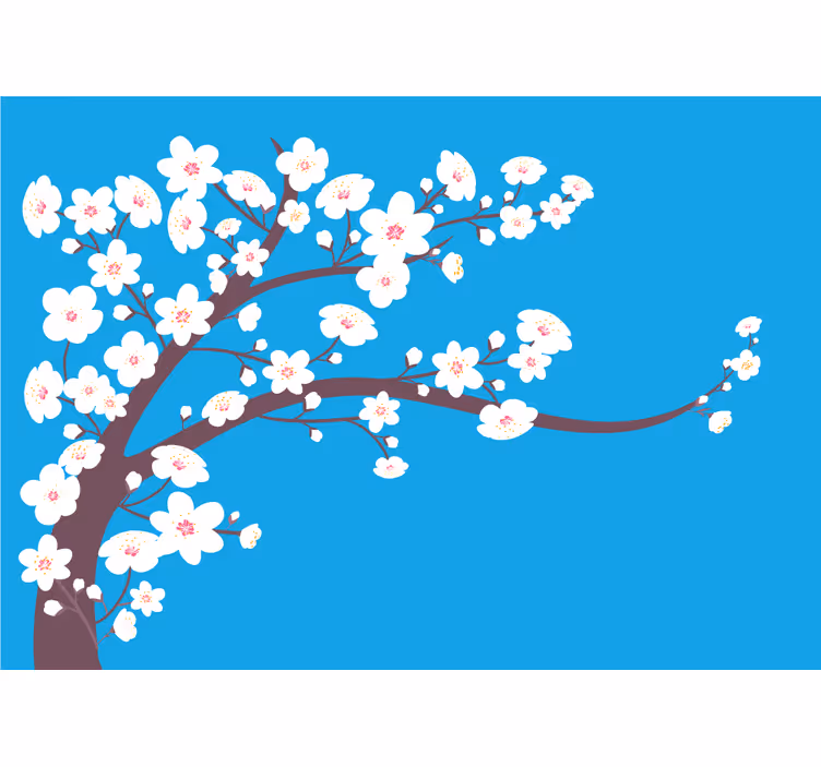Fototapeta kvety sakura kvitnúca konár - Tenstickers