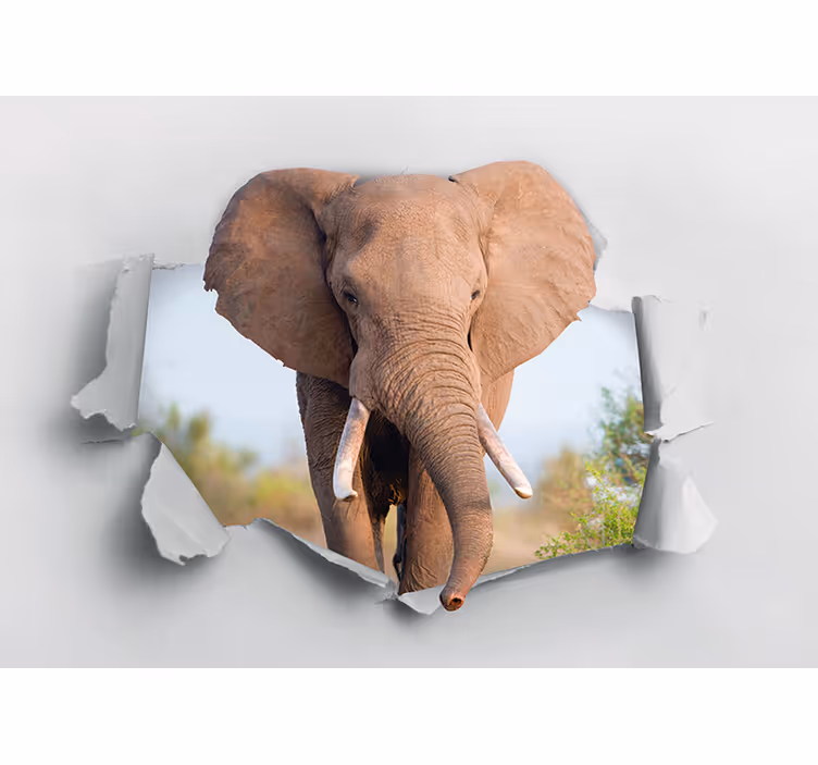 Slon lámajúci 3d nástennú fototapeta - Tenstickers