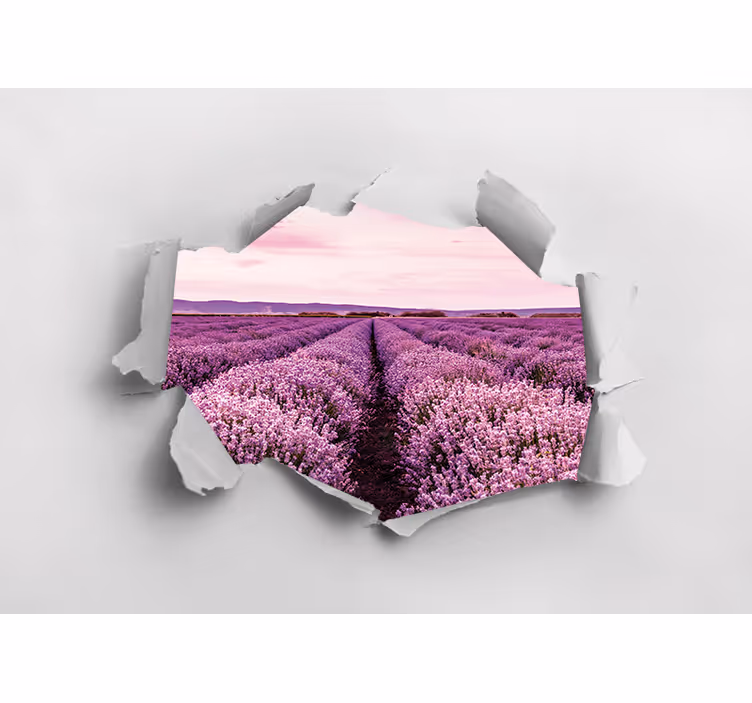 Fototapeta kvety pohľad na levanduľové pole - Tenstickers