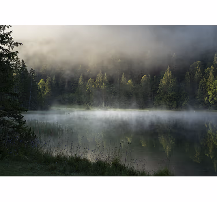 Sivá hmla východ slnka príroda fototapeta - Tenstickers