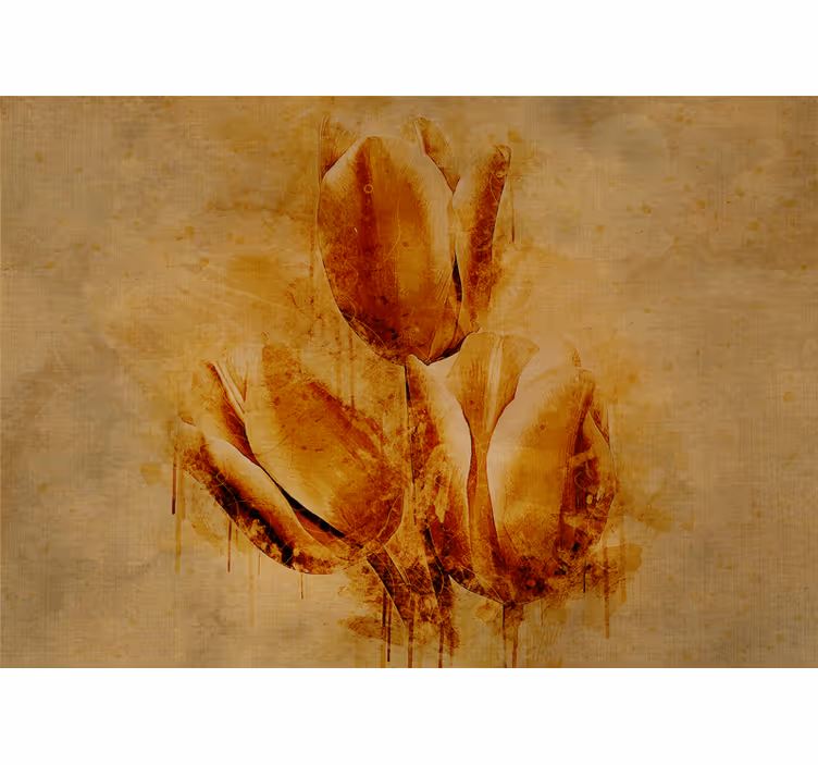 Fototapeta kvety elegantné usporiadanie tulipánov - Tenstickers