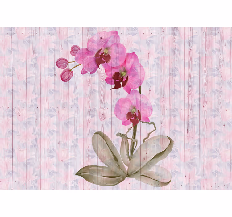 Fototapeta kvety ružové orchidey v kvete - Tenstickers