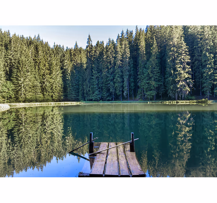 Fototapety na stenu priroda pokojné odrazy lesa - Tenstickers