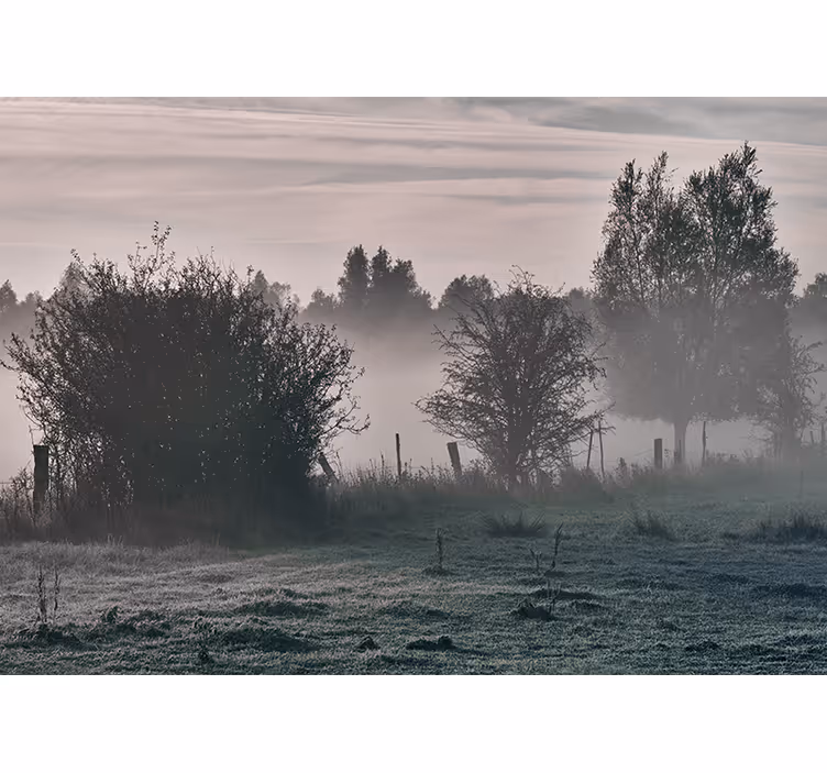 Fototapety na stenu priroda hmlistá lesná krajina - Tenstickers