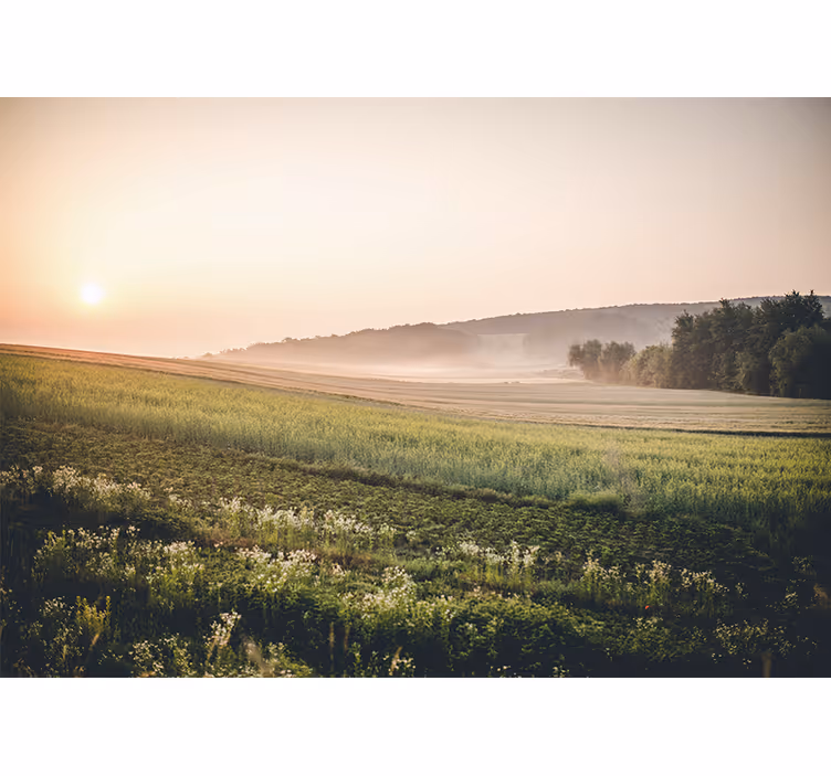 Krajinka fototapety pokojné zelené lúky - Tenstickers