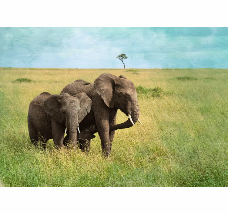 Divoká zver savana slony afrika fototapeta - Tenstickers