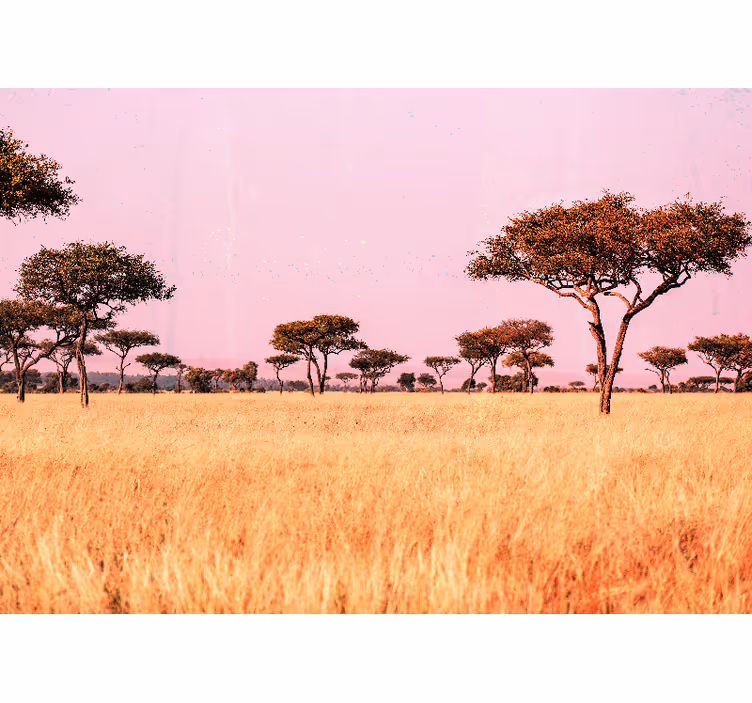 Pôvodná fototapeta africká savana afrika - Tenstickers