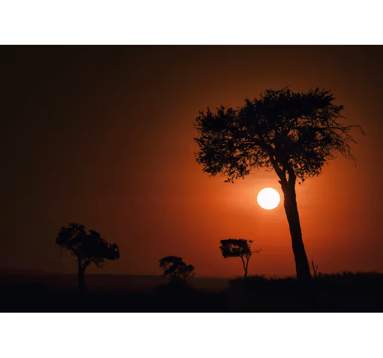 krajinka fototapety silueta scény západu slnka - Tenstickers