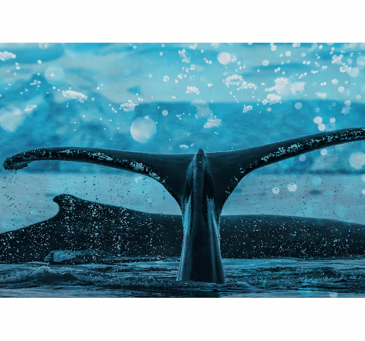Fototapety so zvieratami splash veľrybieho chvosta - Tenstickers