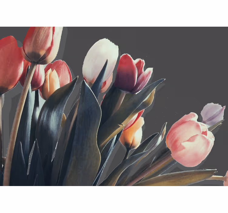 Fototapeta ružové tulipány na čiernom tulipáne - Tenstickers