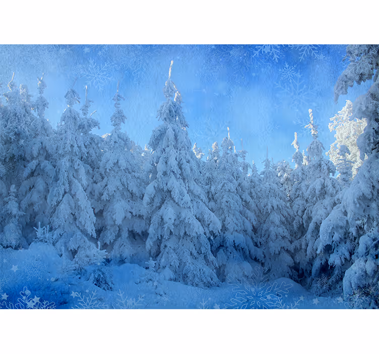 Fototapety na stenu les zasnežené borovice - Tenstickers
