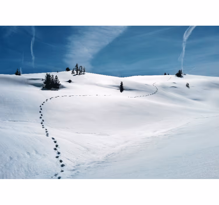 Fototapety hory zasnežená horská cesta - Tenstickers