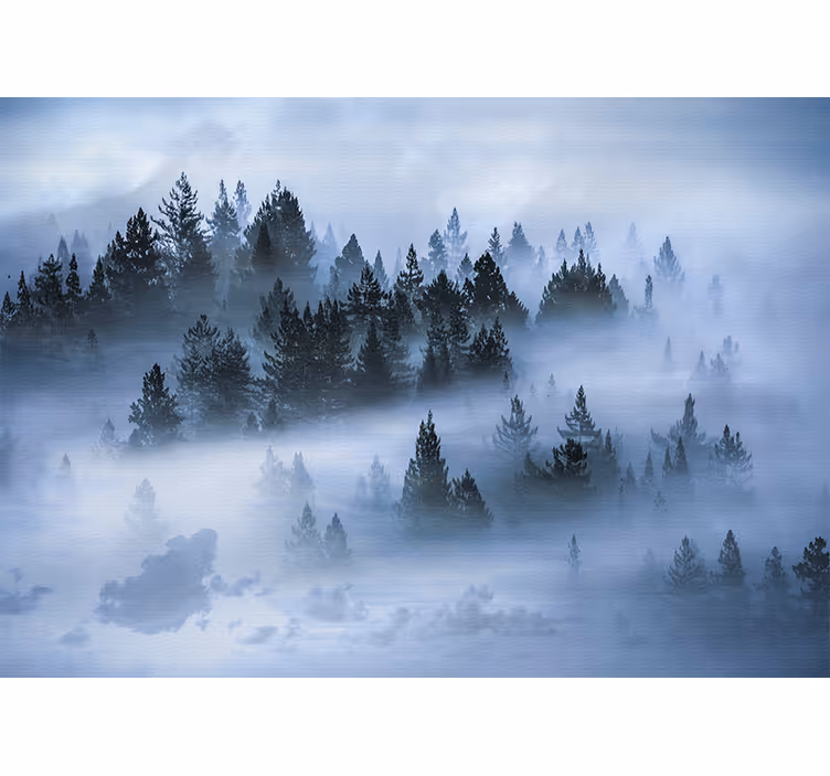Fototapety na stenu priroda hmlisté ihličnaté lesy - Tenstickers