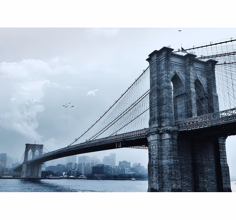 Manhattan bridge winter new york nástenná fototapeta - Tenstickers