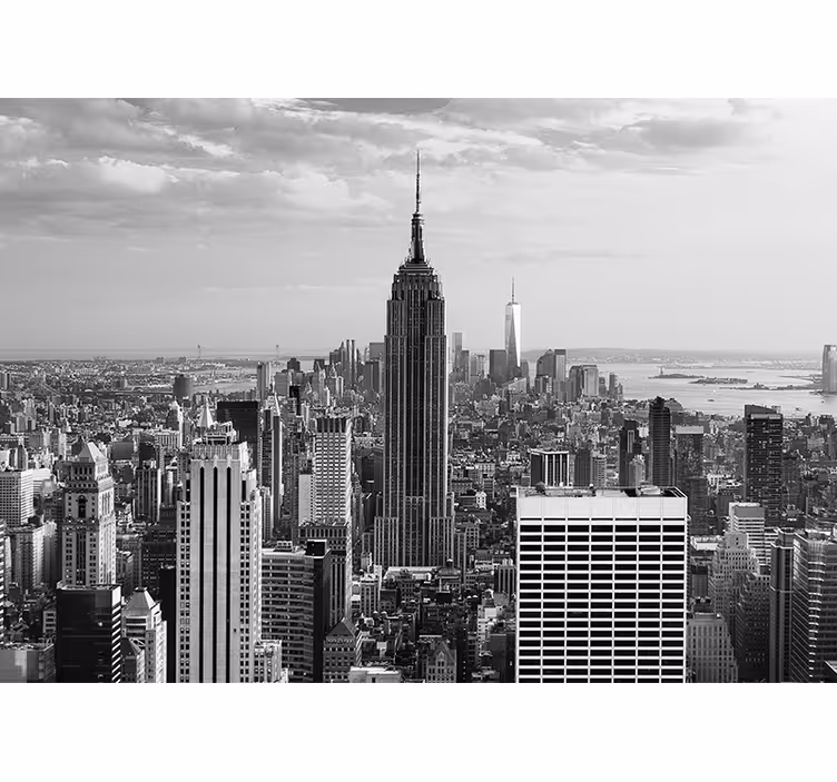 Panoramatická čiernobiela nástenná fototapeta v new yorku - Tenstickers