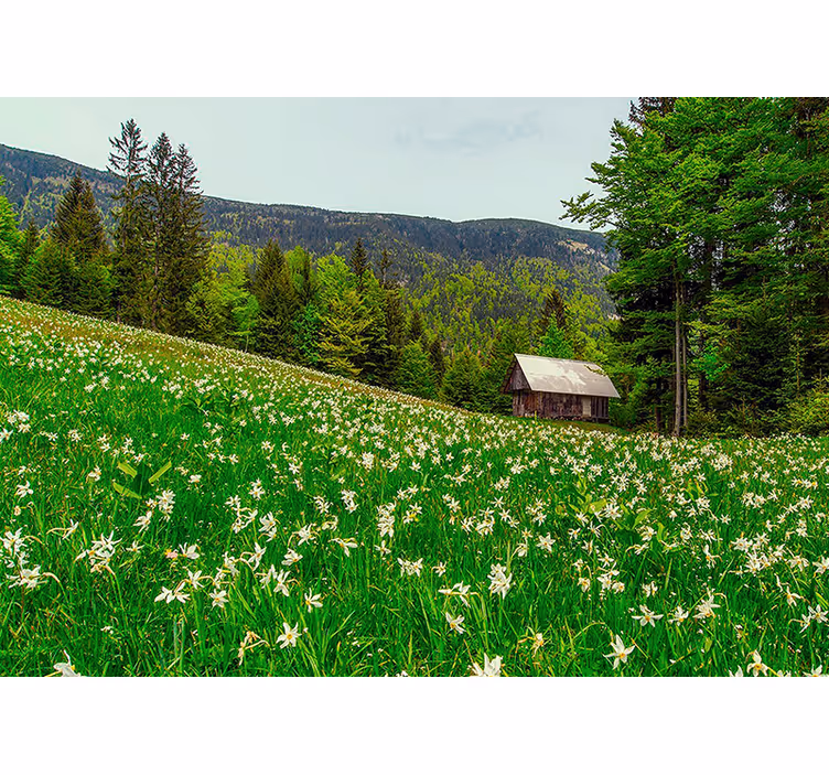Fototapety na stenu priroda pokojná pastoračná krajina - Tenstickers