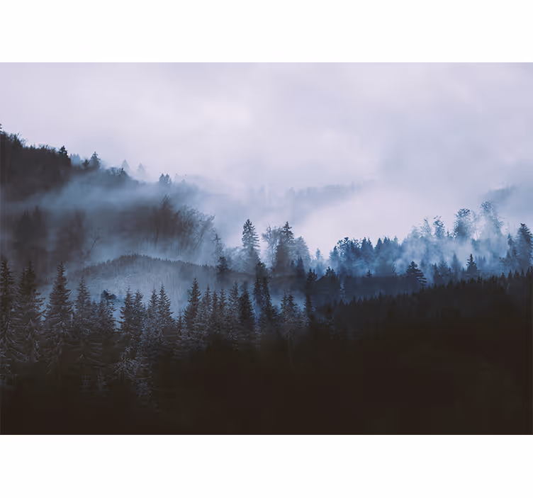 Fototapety na stenu les záhadná večne zelená krajina - Tenstickers