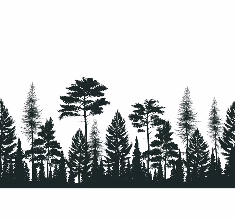 Fototapety na stenu priroda siluety vždyzelených stromov - Tenstickers