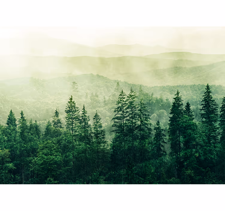 Fototapety na stenu priroda hmlistá zelená krajina - Tenstickers