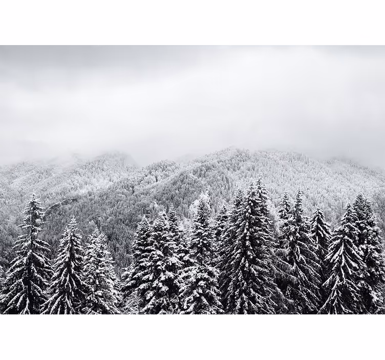 Fototapety na stenu priroda zimná lesná scenéria - Tenstickers