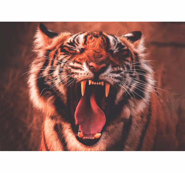 Rôzne fototapety zvieratá majestátne tigerí hrom - Tenstickers