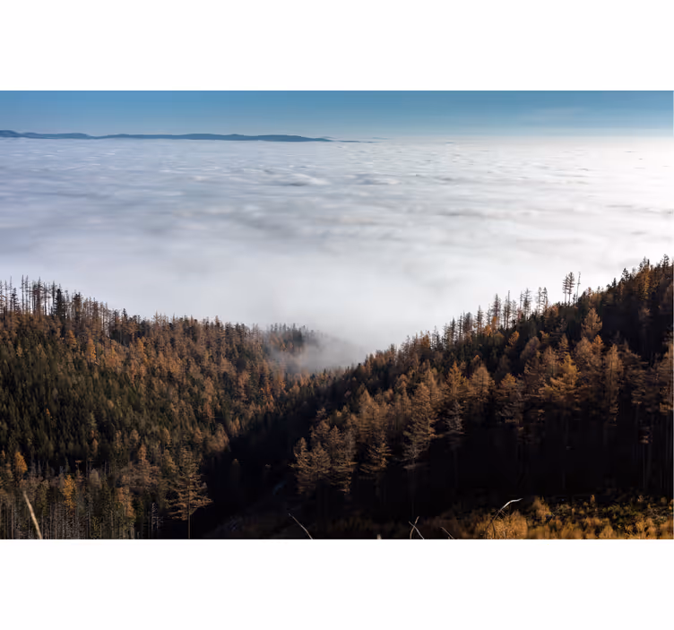 Fototapeta na stenu Tatry v hmle - Tenstickers