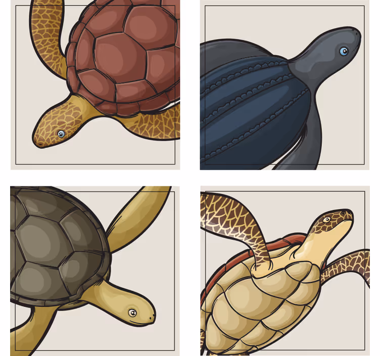 Korytnačka zvieracích dlaždíc sada - Tenstickers