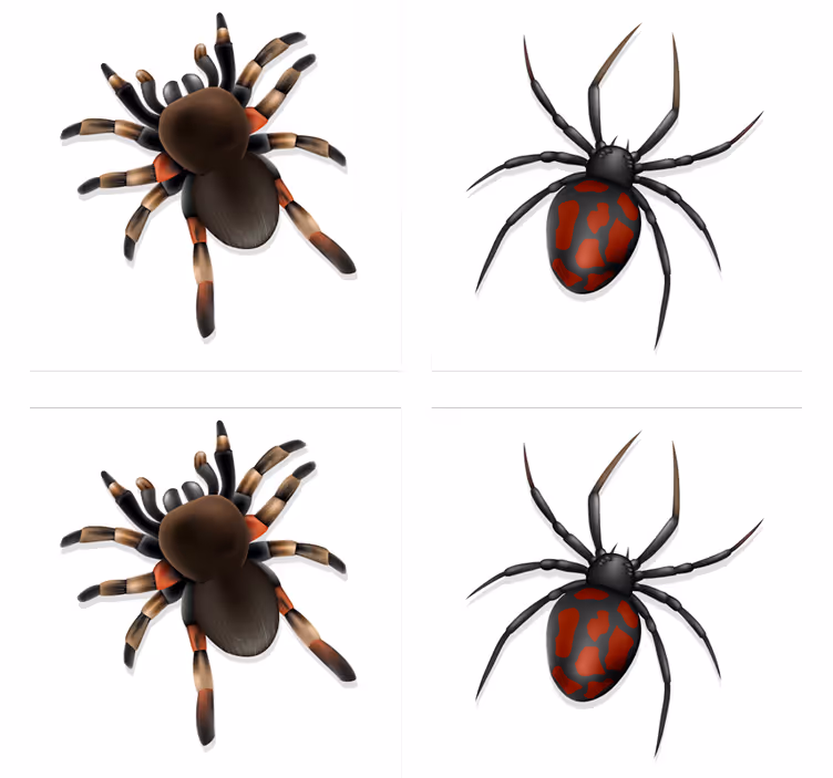 Realistický pavúk halloween dráha - Tenstickers