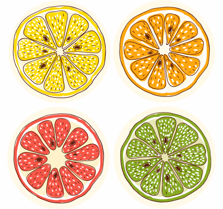zábavná podtácka motívy plátkov citrusov - Tenstickers
