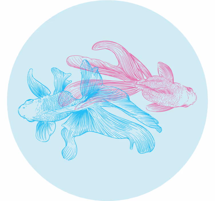Zábavná podtácka s dvojfarebnými rybími ilustráciami - Tenstickers