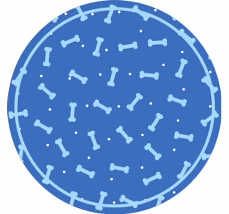 Podtácka s obvodom kostného vzoru - Tenstickers