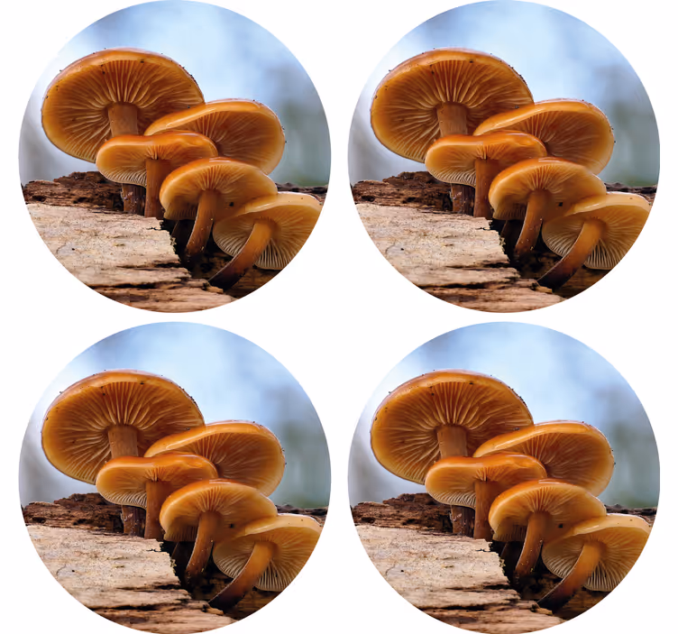 Moderná podtácka s usporiadaním húb - Tenstickers
