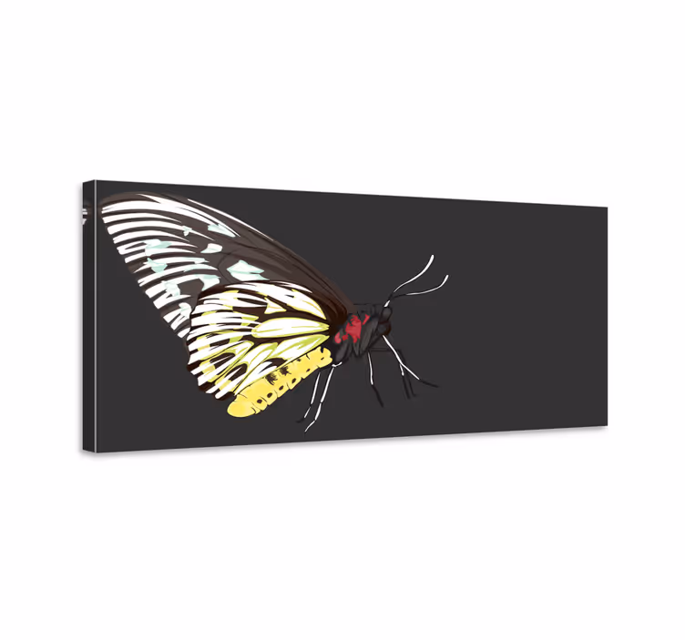 Obraz motýle realisticky podrobný žltý motýľ - Tenstickers