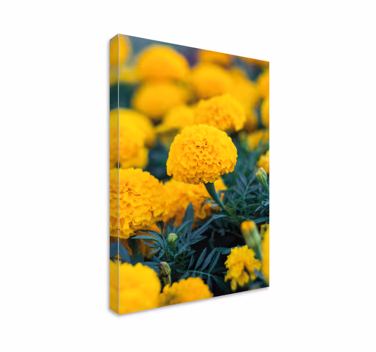 3d rama flores naranjas 3d plátno - Tenstickers