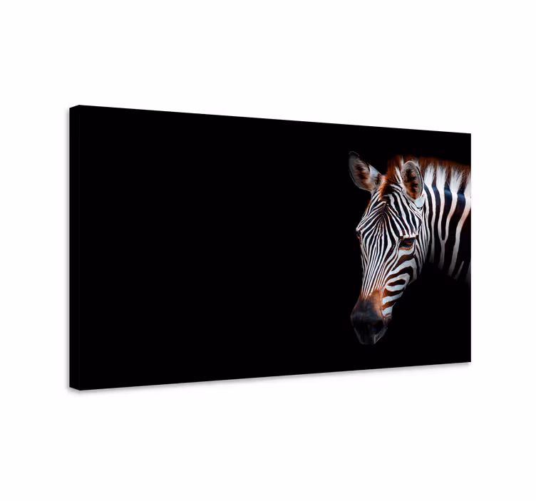 Pop art zebra plátno tlač - Tenstickers