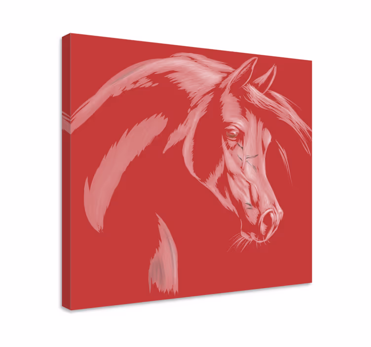 Obraz kone elegantný portrét koňa - Tenstickers