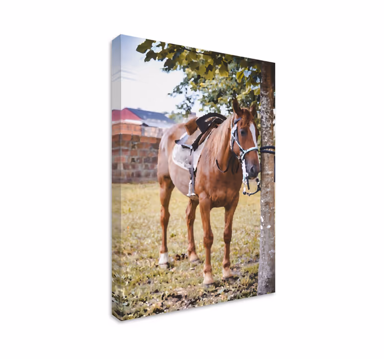 Kôň pod plátnom stromu - Tenstickers