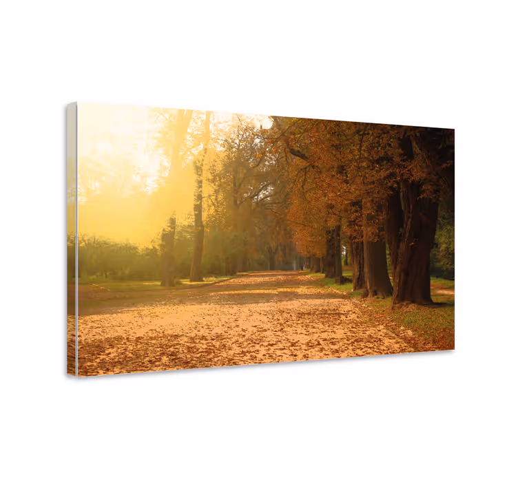 Obraz panoráma jesenná cestička - Tenstickers