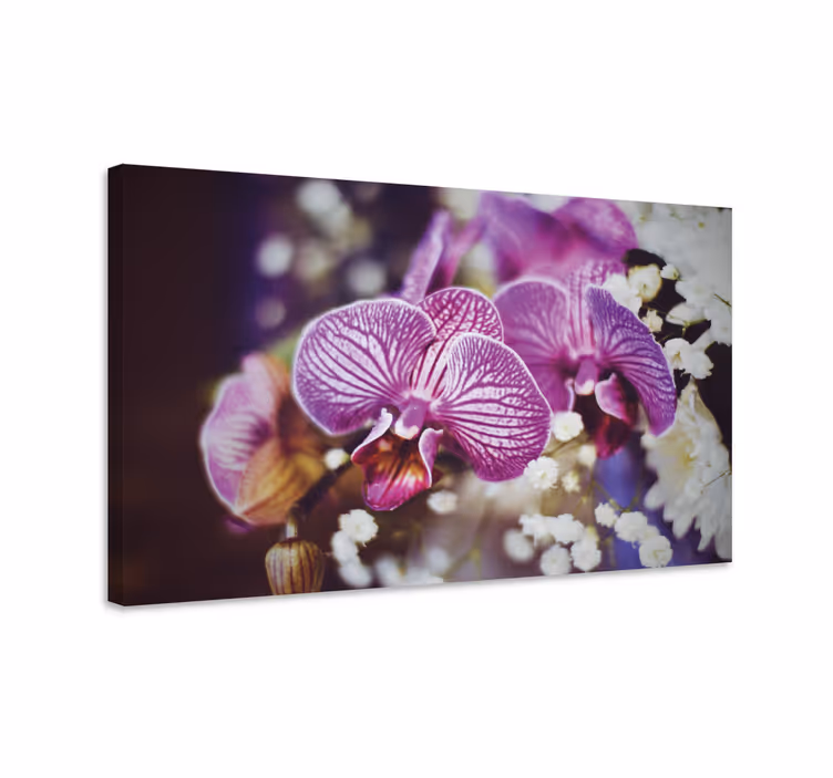 Obraz na stenu rastliny detaily orchideí v kvete - Tenstickers