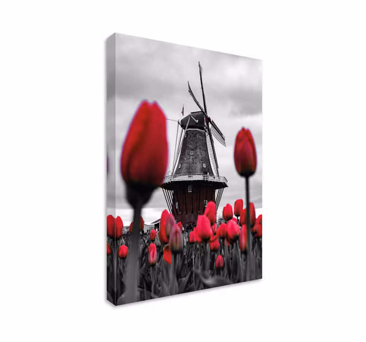 Obraz panoráma veterný mlyn a tulipány - Tenstickers