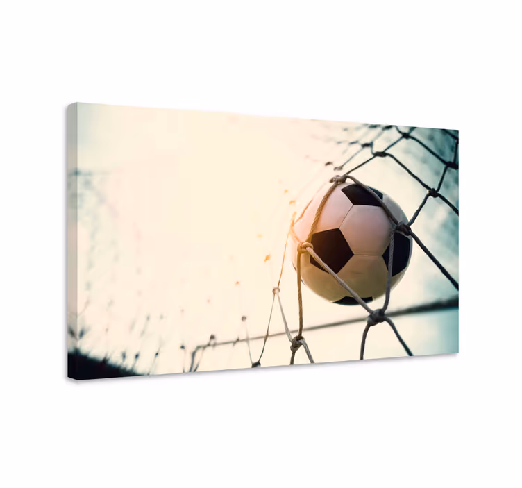 Futbal v sieťovanom rybom plátne - Tenstickers