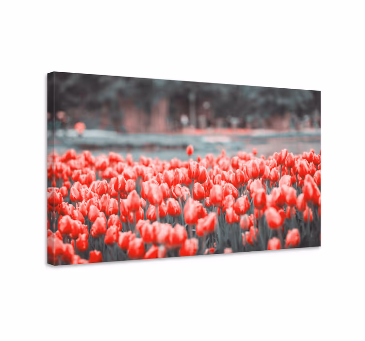 Obraz na stenu rastliny Živý tulipánový lán - Tenstickers