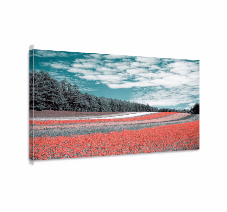 Obraz panoráma Živý kvetinový lán - Tenstickers