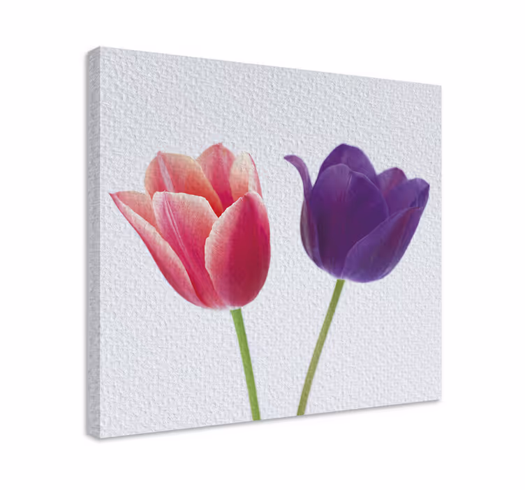 Fialové a ružové tulipány kvetinové obrazy na stenu - Tenstickers