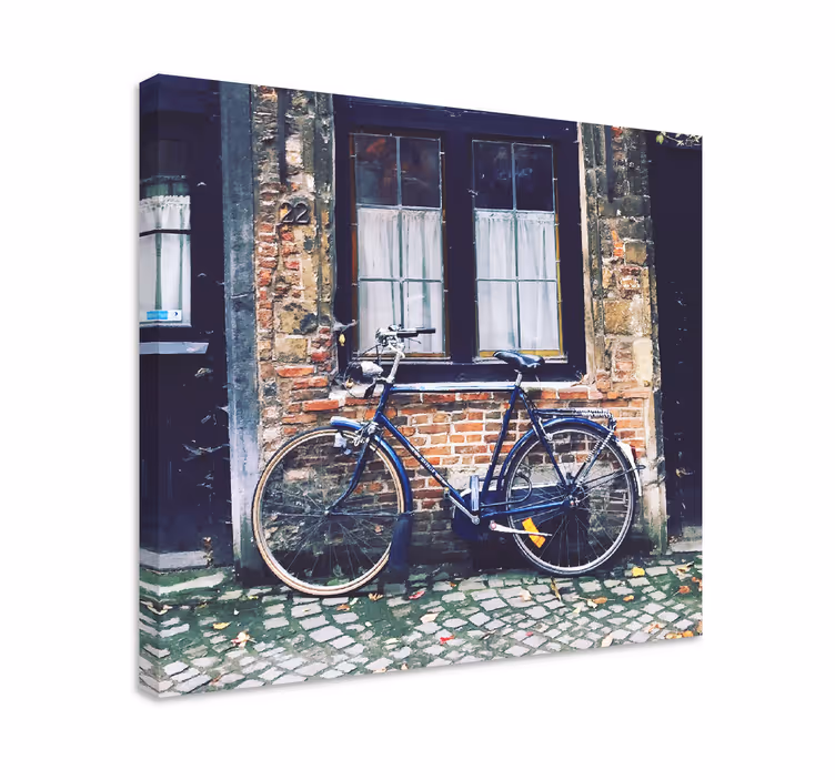 Bicykel pred domom, obrazy na plátne - Tenstickers