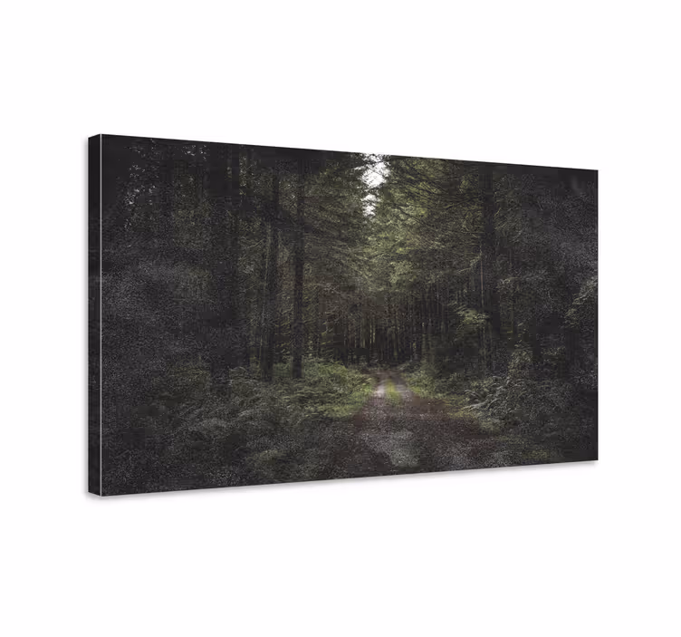Obraz panoráma lesná cestička pokoja - Tenstickers
