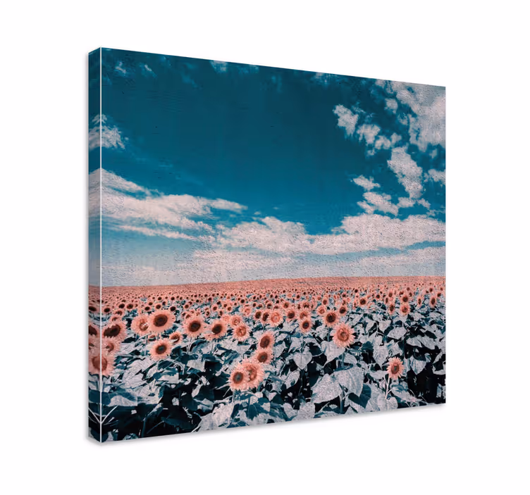 obraz na stenu rastliny horizont slnečnicového poľa - Tenstickers