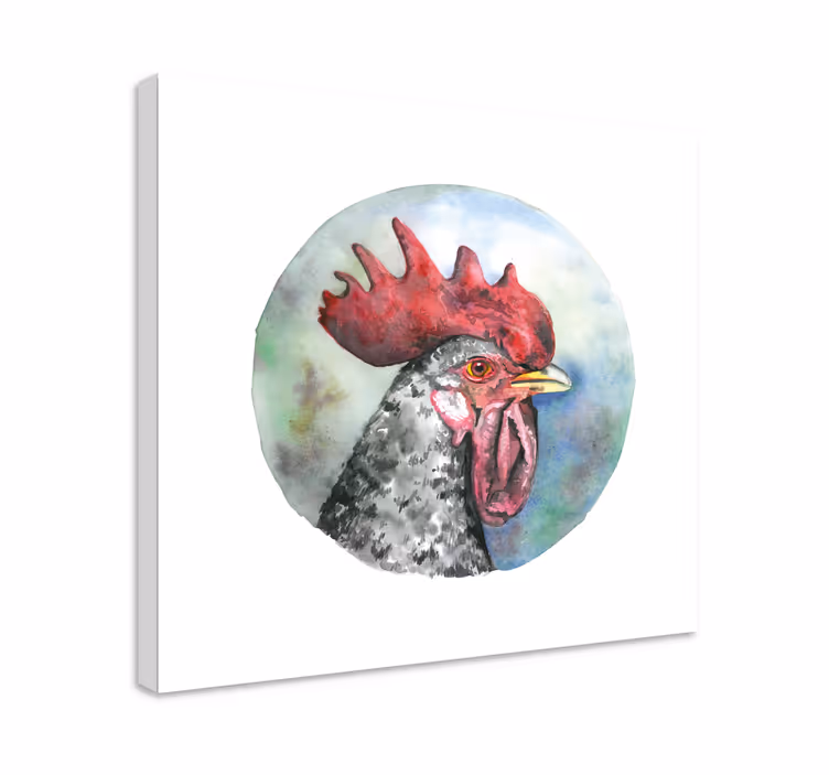 Obraz na stenu vtáky portrét kohúta - Tenstickers